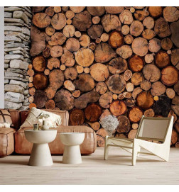 Wall Mural - Wooden Gate