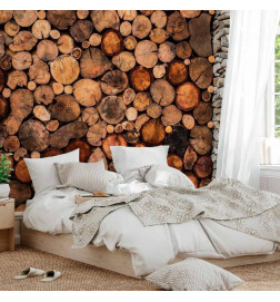 Wall Mural - Wooden Gate