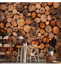 Fototapetti - Wooden Gate