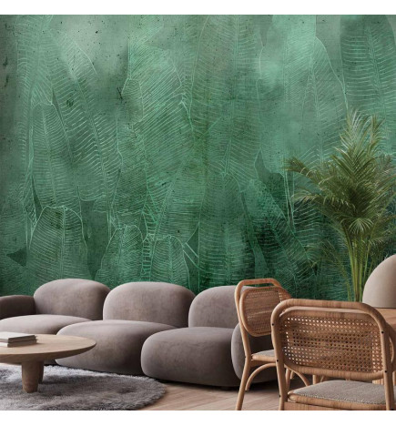 Fototapeet - Green Banana Leaves