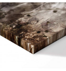 Slika - Anemones in Sepia (1 Part) Wide