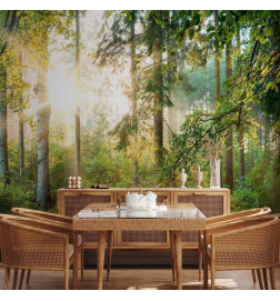 Wall Mural - Untamed Nature