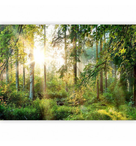 Foto tapete - Untamed Nature