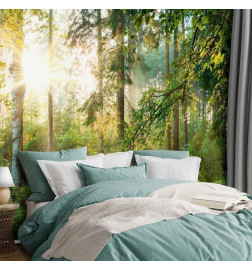 Wall Mural - Untamed Nature