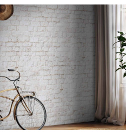 Wall Mural - Tabula rasa