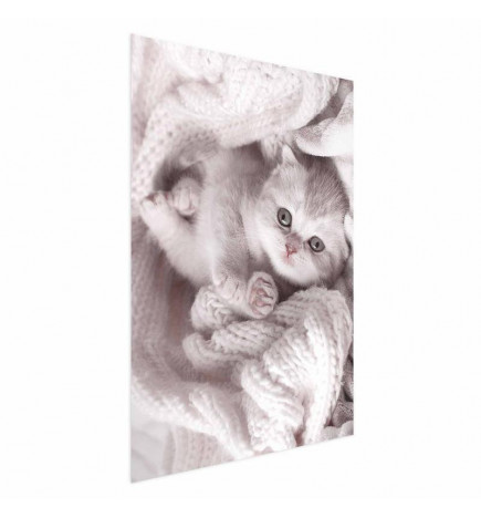 Plakāts - Lover of Rest