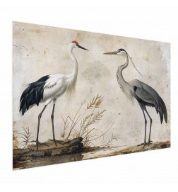 Poster - Birds from an Old Engraving - vintage-style illustration of a heron and a crane