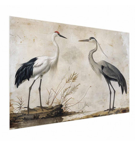 Poster - Birds from an Old Engraving - vintage-style illustration of a heron and a crane
