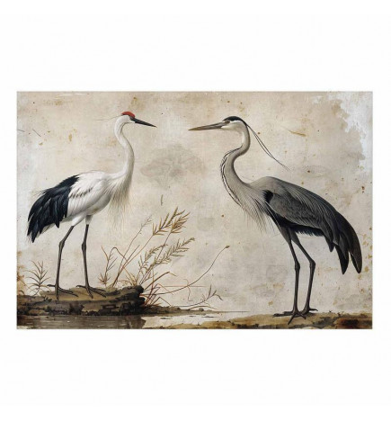 Plakatas - Birds from an Old Engraving - vintage-style illustration of a heron and a crane