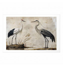 Poster - Birds from an Old Engraving - vintage-style illustration of a heron and a crane