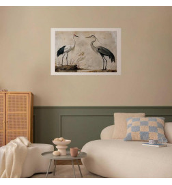 Poster - Birds from an Old Engraving - vintage-style illustration of a heron and a crane