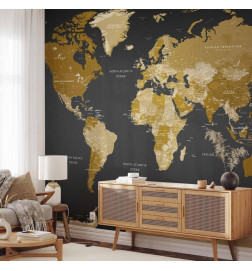 Carta da parati - World Map: Modern Geography