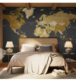 Fotomural - World Map: Modern Geography