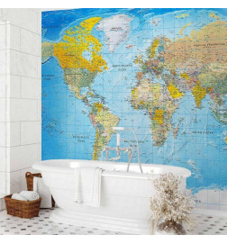 Wall Mural - World Classic Map