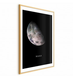 Plakat - Moon