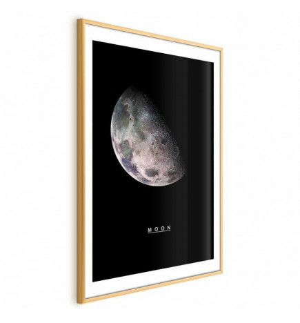 Plakat - Moon