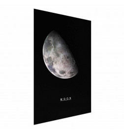 Plakatas - Moon