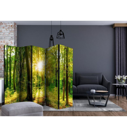 Paravento - Forest Rays II