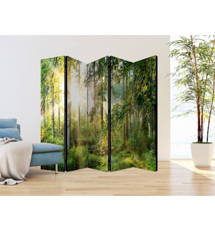 Paravento - Untamed Nature II