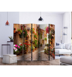 Room Divider - The Alley in Spello (Italy) II