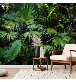 Fotomural - Sunny Jungle