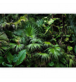 Fototapet - Sunny Jungle