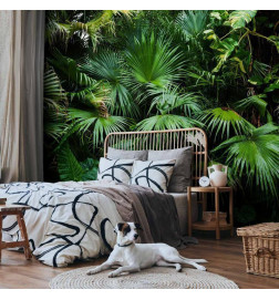 Wall Mural - Sunny Jungle