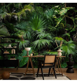 Fototapeet - Sunny Jungle