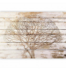Foto tapete - Tree on Boards