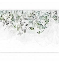Wall Mural - Foggy Nature - Green