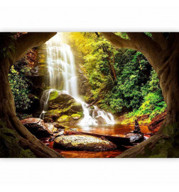 Carta da parati - Forest Refuse