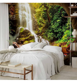 Wall Mural - Forest Refuse