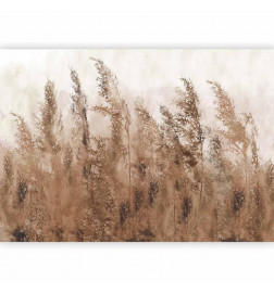 Fototapeet - Tall Grasses - Brown