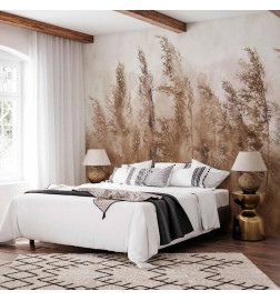 Fototapeta - Tall Grasses - Brown