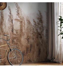 Fototapet - Tall Grasses - Brown