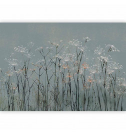 Fototapeet - Garlic Flowers