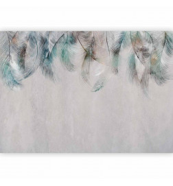 Papier peint - Colourful Feathers