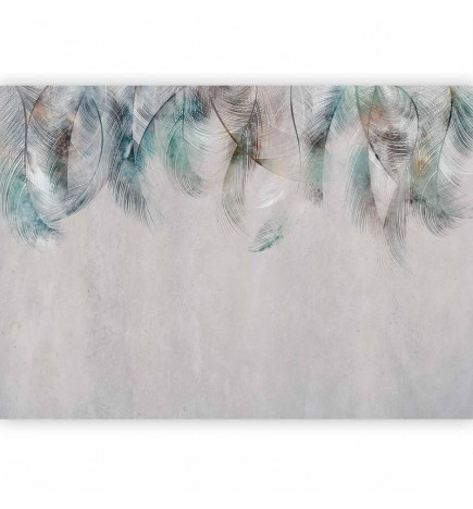 Fototapetti - Colourful Feathers