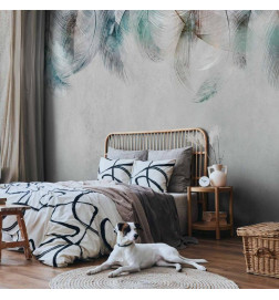 Mural de parede - Colourful Feathers