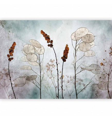 Fototapetas - Lunaria in the Meadow