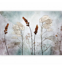 Foto tapete - Lunaria in the Meadow
