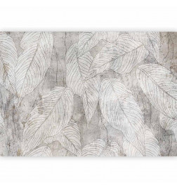 Fotobehang - Shadow Full of Sough