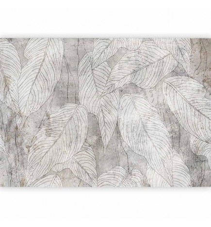 Fotomural - Shadow Full of Sough