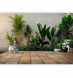 Fototapetas - Home Garden