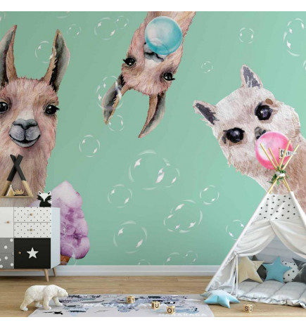 Mural de parede - Crazy Llamas