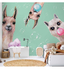 Carta da parati - Crazy Llamas