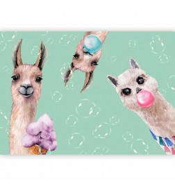 Fototapetas - Crazy Llamas