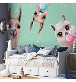 Papier peint - Crazy Llamas
