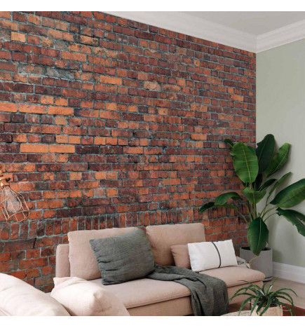 Wall Mural - Vintage Wall (Red Brick)