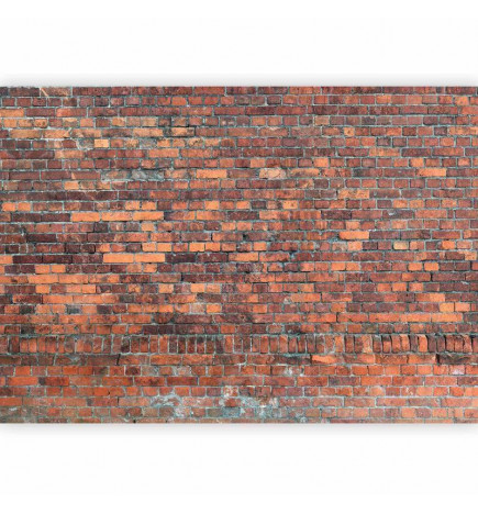 Fotobehang - Vintage Wall (Red Brick)